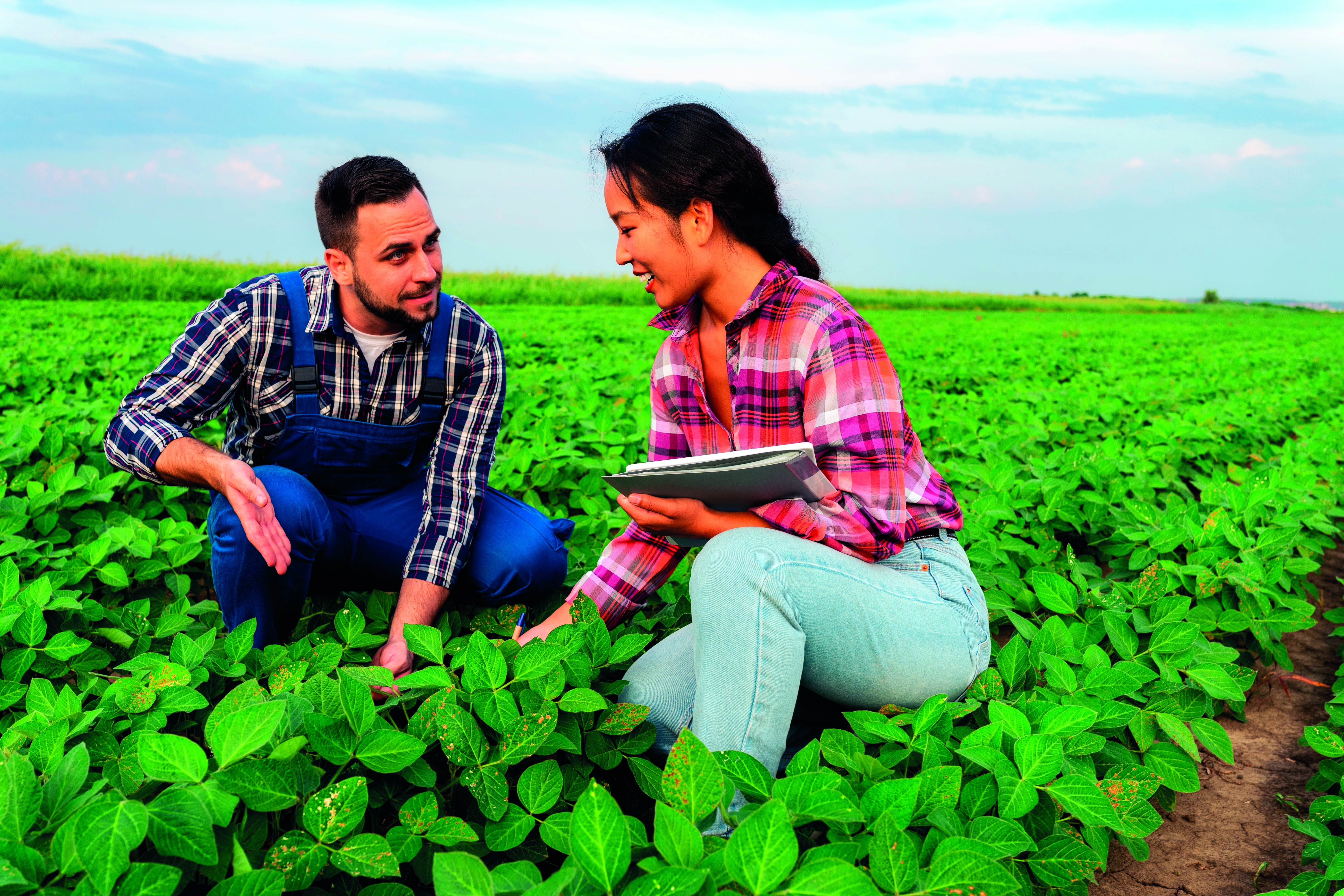 Agronomist analysing and giving advice