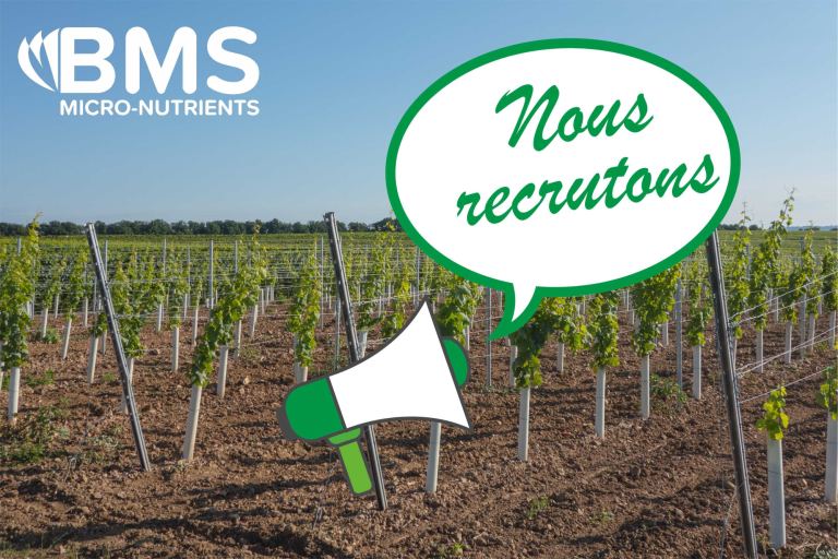 Nous recrutons