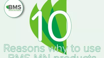 10 reason why to use BMS MN products