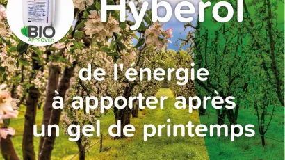 Hyberol, de l'énergie à apporter après un gel de printemps