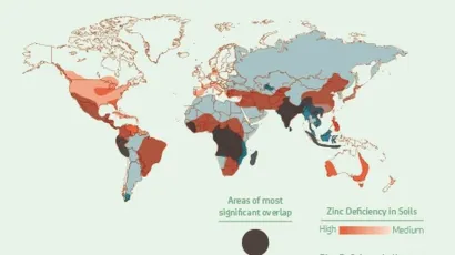 Deficiencia de zinc en el mundo