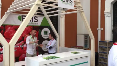 participación de BMS MN al congreso de frutos rojos