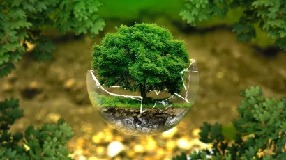 Ecological farming