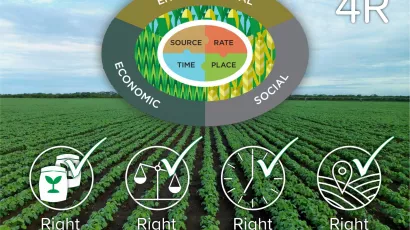foliar fertilization and 4R management system