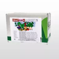Chelal Flor NF