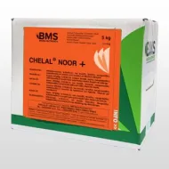 Chelal Noor +