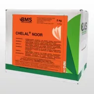 Chelal Noor