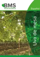 Argumentación téchnica sobre micro fertilización en Uva de Mesa