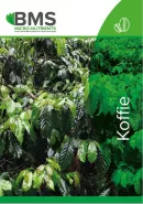 bladvoeding koffie