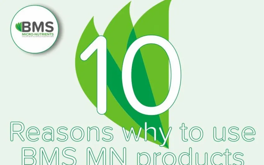 10 reason why to use BMS MN products