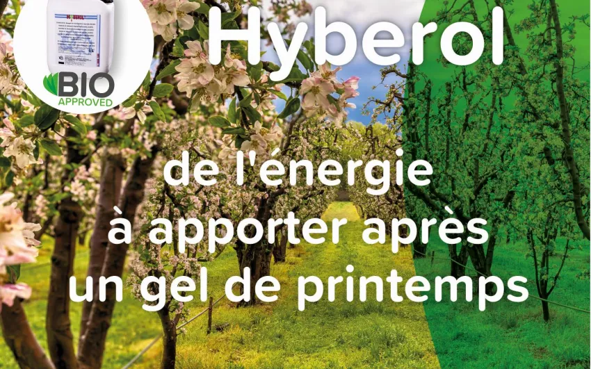 Hyberol, de l'énergie à apporter après un gel de printemps