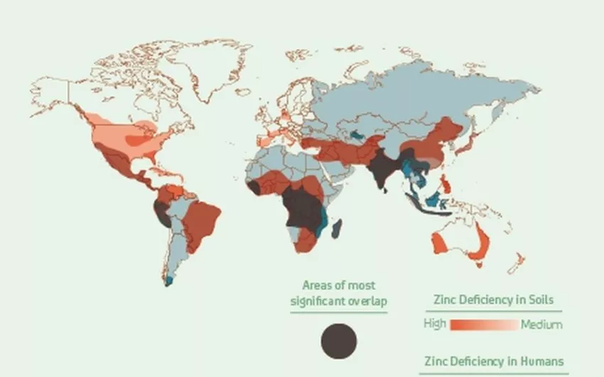 Deficiencia de zinc en el mundo