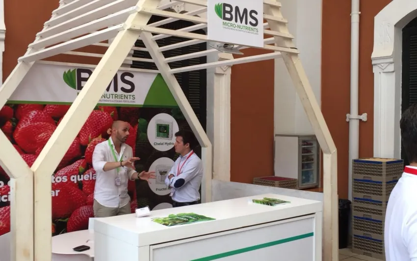 participación de BMS MN al congreso de frutos rojos