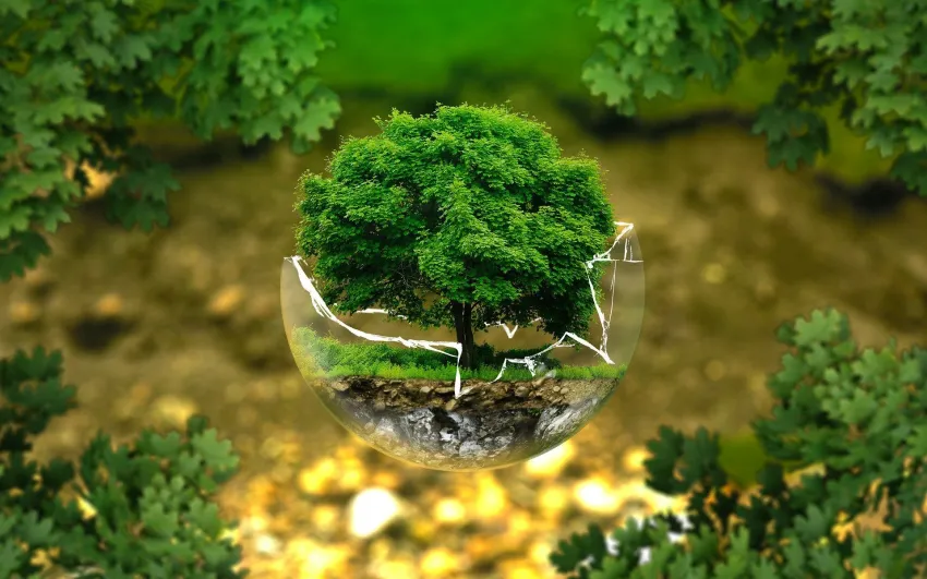 Ecological farming