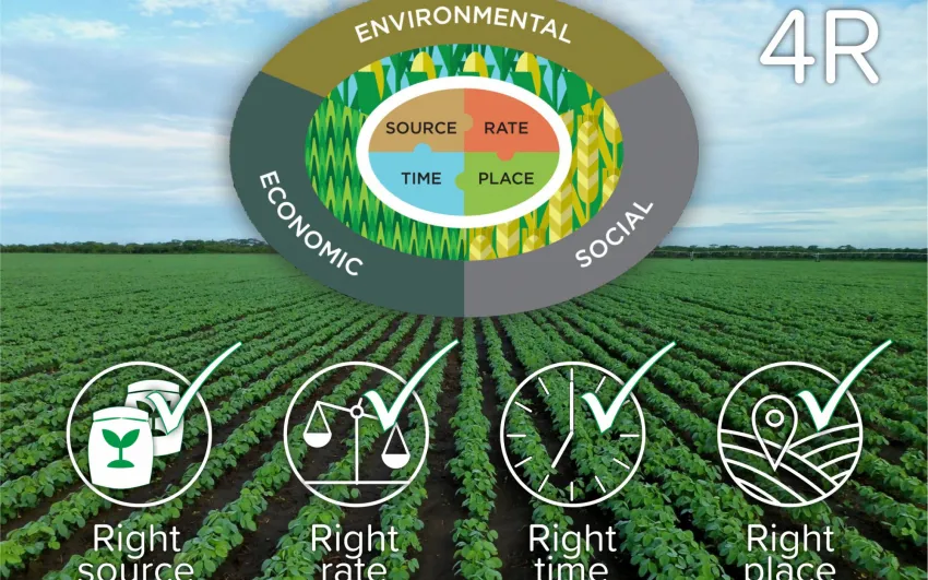 foliar fertilization and 4R management system