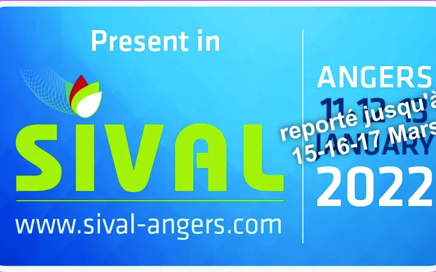 sival 2022