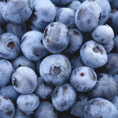 Blauwe Bes