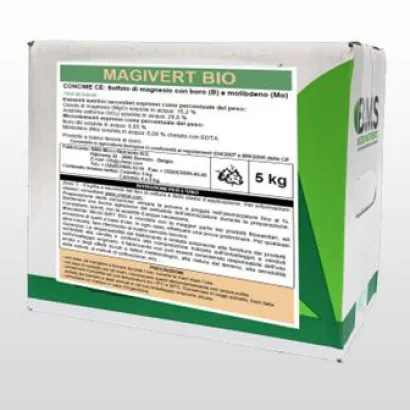 Magivert Bio