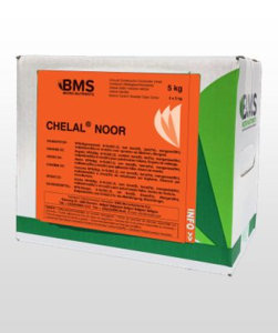 Chelal Noor Chelal Noor